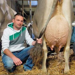 1Profilbild Kurt Willmann